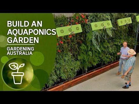 Video: Xeriscape Gardening iesācējiem