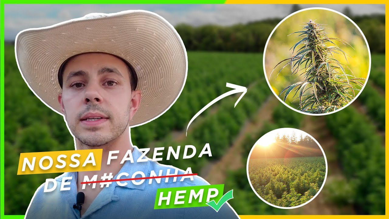 Nossa fazenda de hemp nos EUA!