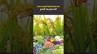 Which Telangana District Ranks #1 in Crop Intensity? | Highest & Lowest Revealed #ytshorts