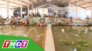Nông sản mở rộng thị trường xuất khẩu | THDT