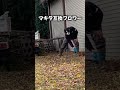 【マキタ互換】格安ブロワーで落ち葉を吹き飛ばしてみた結果...！