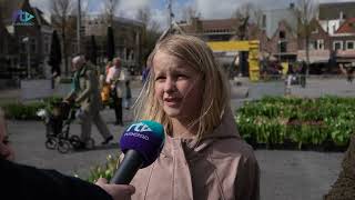 We Begonnen Met 30 Duizend Tulpen - Vandaag Kon Je Je Eigen Bosje Tulpen Plukken Op De Koemarkt