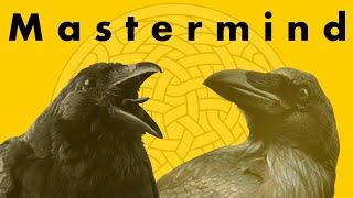 Corvid Cognition... No Birdbrains...masterminds Of The Animal Kingdom.