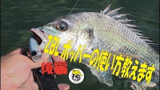 ZBLポッパー編【後編】