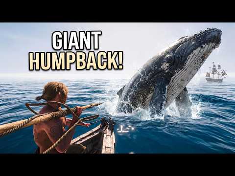 I Hunted a Giant Humpback Whale in Assassin's Creed Black Flag Resynced