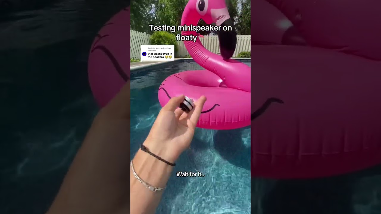 Link to store in bio🔊🦩 