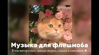 Музыка для флешмоба ❀ || ссылка на тгк в описании ⬇️ || от @KKIQMI