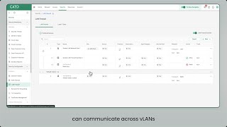 Microsegmentation That Stops Lateral LAN Threat Movement with the Cato LAN NGFW Net Worth