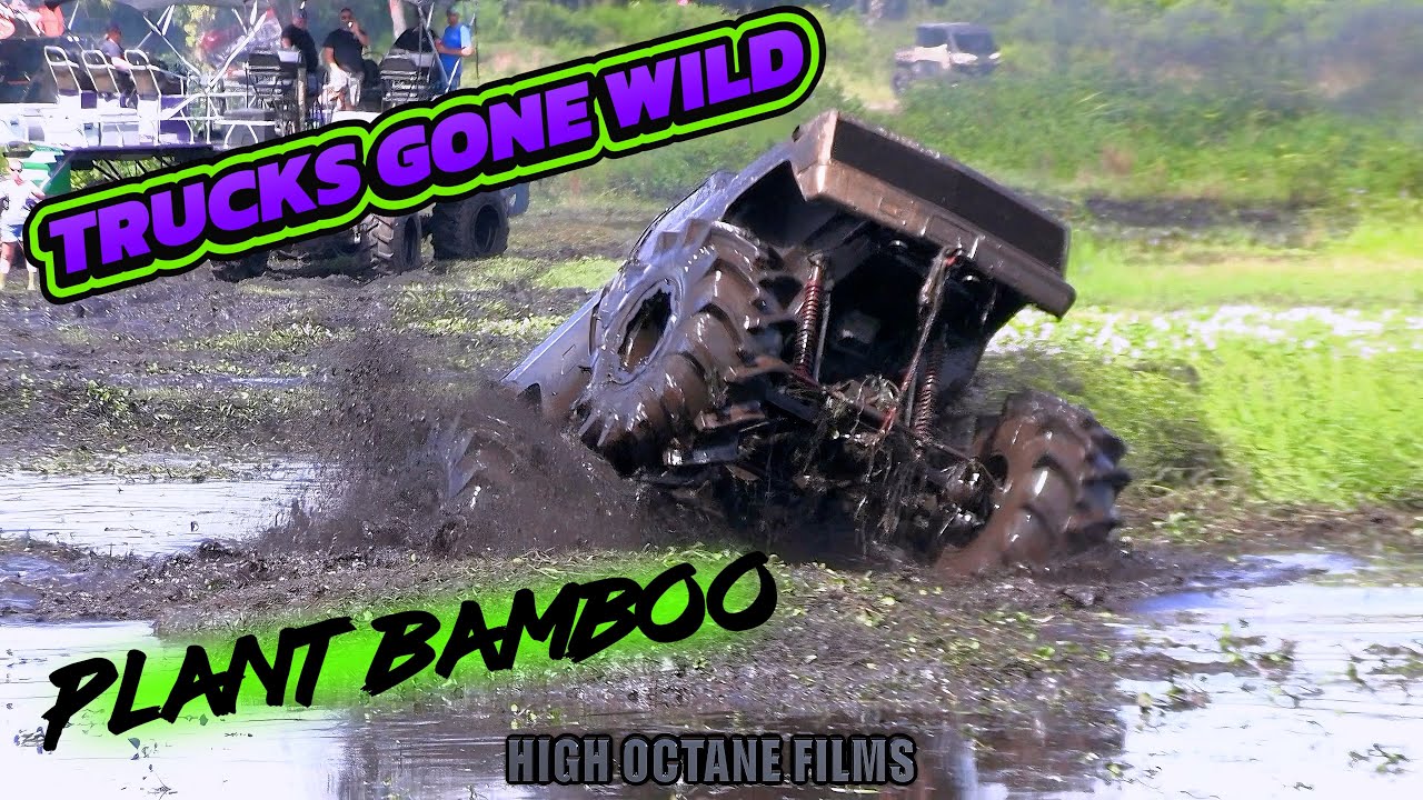 BIG DAWGS TURNT LOOSE AT TRUCKS GONE WILD OKEETOBER FEST PLANT BAMBOO