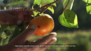 Unlocking the Power of Hyperspectral Imaging for I