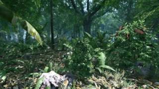 Crysis Test Map GDC06