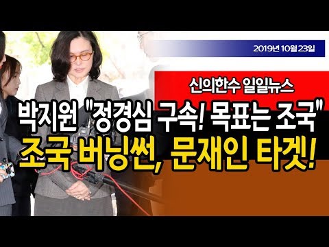 (일일뉴스)  / 박지원 “정경심 <strong>구속</strong>! 조국이 <strong>목표</strong>!” / 신의한수 19.10.23