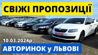 ЦІНИ на АВТО у БЕРЕЗНІ  // АВТОРИНОК ЛЬВІВ // 10.03.24р. #автопідбір #автобазар #колоритмоторс