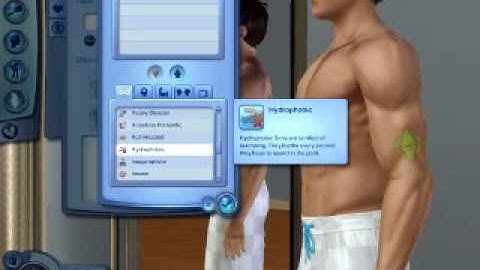Sims 3 Let