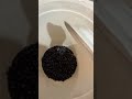Робимо вино)