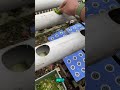 Los que entiendan esto primero tendrán ventaja sobre millones #Hidroponia #Hydroponics #Latam #FYP