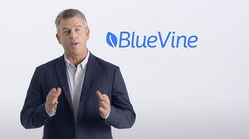 BlueVine Business Lines of Credit