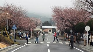 160403駒門駐屯地創立56周年