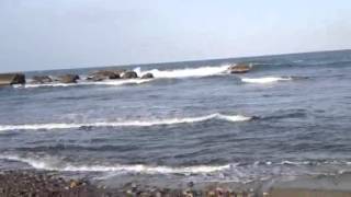 茨城大洗海岸 春の浜辺