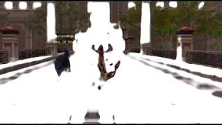 Silkroad BumbleBow Sro with new effects