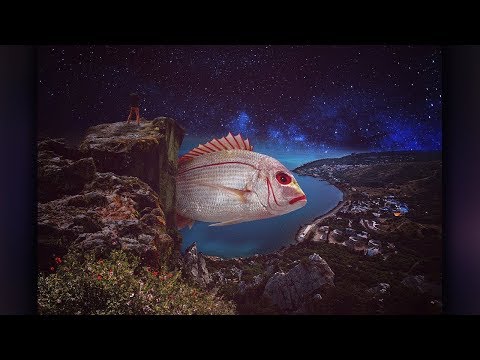 Fish - SpeedArt - Manipülasyon #1 - Photoshop CC 2018 - Nasıl Yapılır - Kemiktv