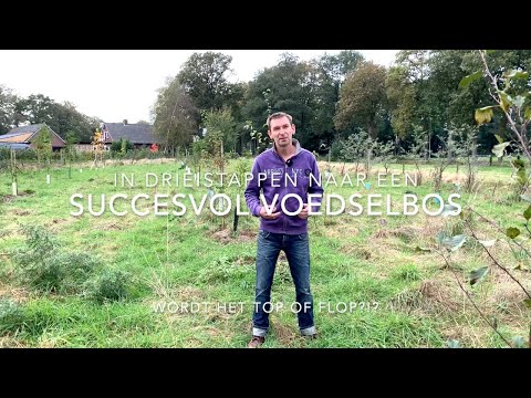 3 stappen naar een succesvol voedselbos