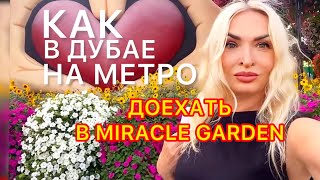 Как доехать на метро в Парк Цветов Miracle Garden в Дубае ? Инструкция для туристов