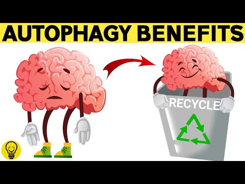 Amazing Benefits Of Autophagy (Autophagy And Fasting)