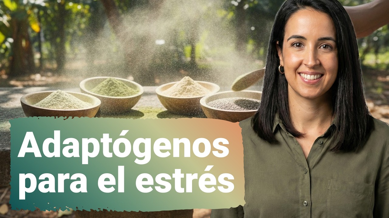 Ashwagandha y adaptógenos: qué son realmente y cómo actúan sobre el estrés
