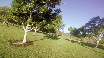 Helio Spring IMU - F