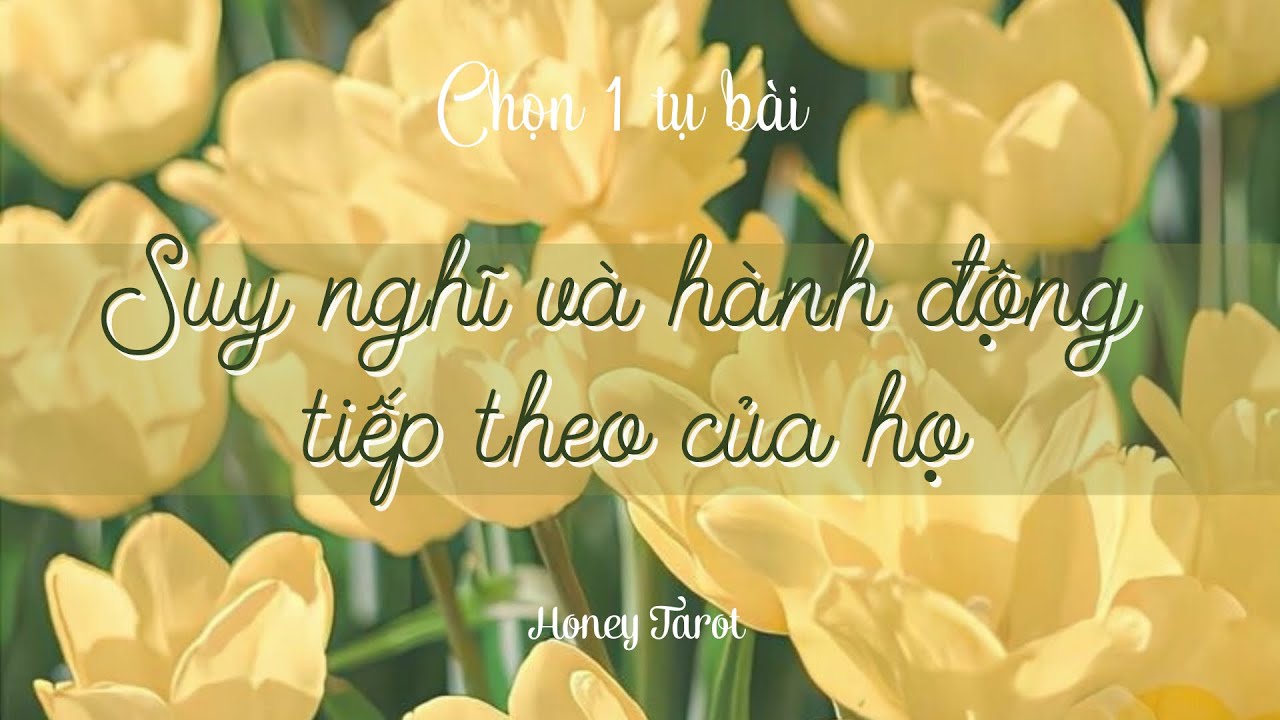 🔮 Suy nghĩ và hành động tiếp theo của họ⛵️👩‍❤️‍👨🦚(chọn 1 tụ bài)🔮| Honey Tarot
