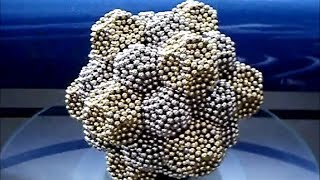 32-Piece Mega Cluster of Two Related Polyhedrons | 8184 Neodymium Magnetic Balls
A hollow cluster of two distinct but related polyhedrons, 20 dodecahedrons in silver and 12 icosidodecahedrons in gold, for a total of 32 polyhedrons in the whole structure. The dodecahedron subunit uses 12 × 15 + 6 = 186 magnets, and each double layerd icosidodecahedron subunit uses 12 × 16 + 20 × 6 + 60 = 372, for a grand total of 8184 magnetic balls.
Thanks to Kevan of channel 88625652 for the knowledge of how these polyhedrons tessellate perfectly with each other in a pleasing icosahedral form. Check out his channel featuring interesting geometric arrangements here:
http://www.youtube.com/user/88625652
Music track was originally Oxygene 8 by Jean-Michel Jarre, now audio swapped for copyright reasons to Fluidscape by Kevin MacLeod, from the YouTube free audio library.
#ledwatchman #Neocube #Neoballs #Nanodots #ZenMagnets #Speks #Buckyballs #NingoBalls #CyberCube #KlikyBalls #NeoQube
Fluidscape by Kevin MacLeod is licensed under a Creative Commons Attribution license (https://creativecommons.org/licenses/by/4.0/)
Source: http://incompetech.com/music/royalty-free/index.html?isrc=USUAN1100393
Artist: http://incompetech.com/ 32-Piece Mega Cluster of Two Related Polyhedrons | 8184 Neodymium Magnetic Balls