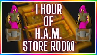 OSRS P2P - H.A.M. Store Room | Testing OSRS Wiki Money Making Methods | 2021