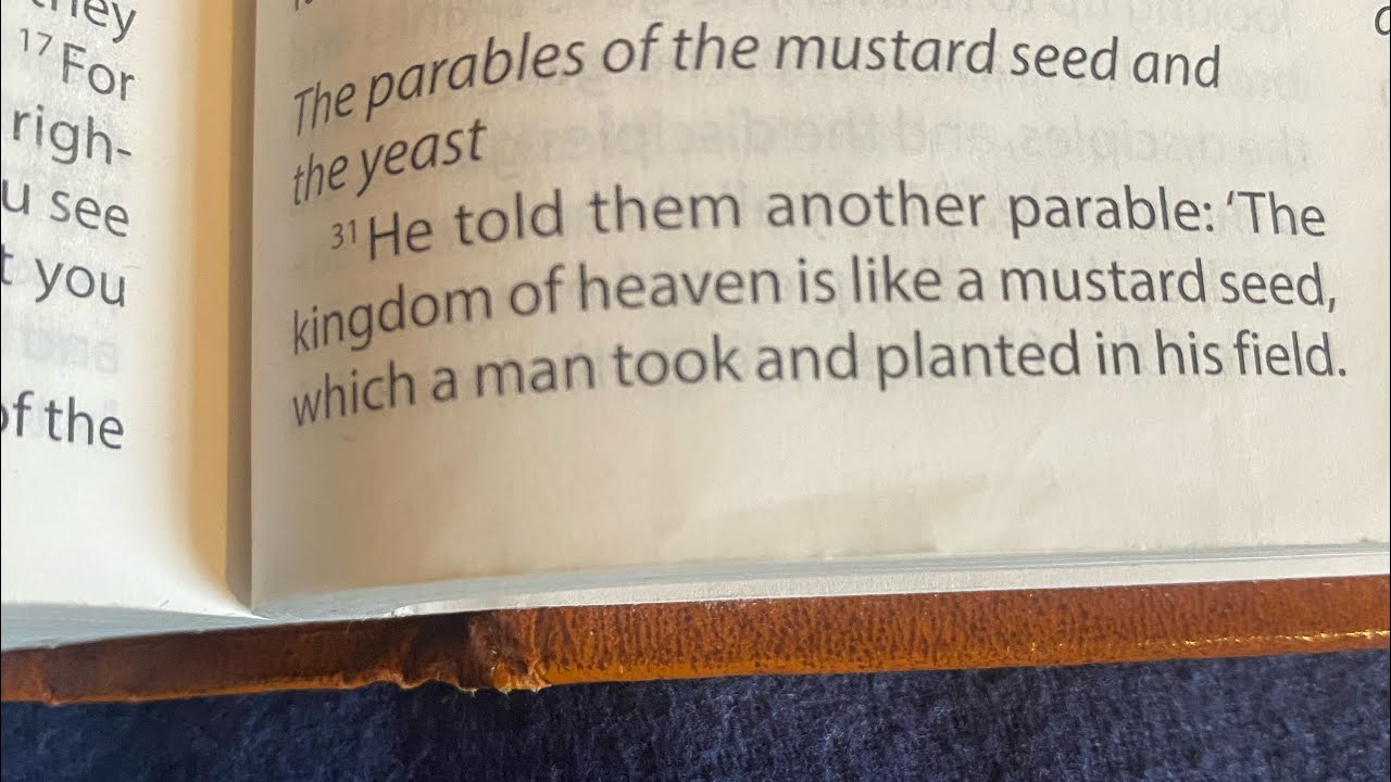 The parable of the mustard seed and yeast 
