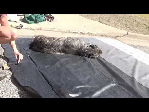 Save That Old Awning