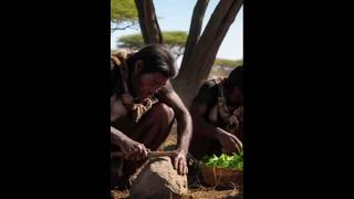 Life Million Years Ago Early Humans Ancestors 1 #earlyhumans #ancestors  #prehistorichumans