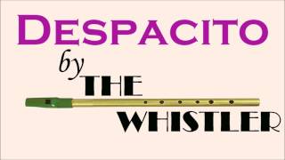 Despacito - The Whistler Solo Instrumental Cover