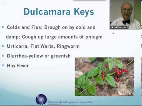 Dulcamara Homeopathic Medicine Tips For Beginners Youtube
