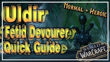 Fetid Devourer│Uldir│QUICK GUIDE (Normal & Heroic)