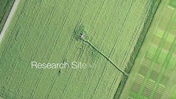 Research Site Oensingen (CH-OE2) 2018