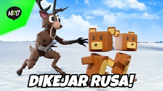 The Bear Duo Goes on an Adventure in the North Pole!
