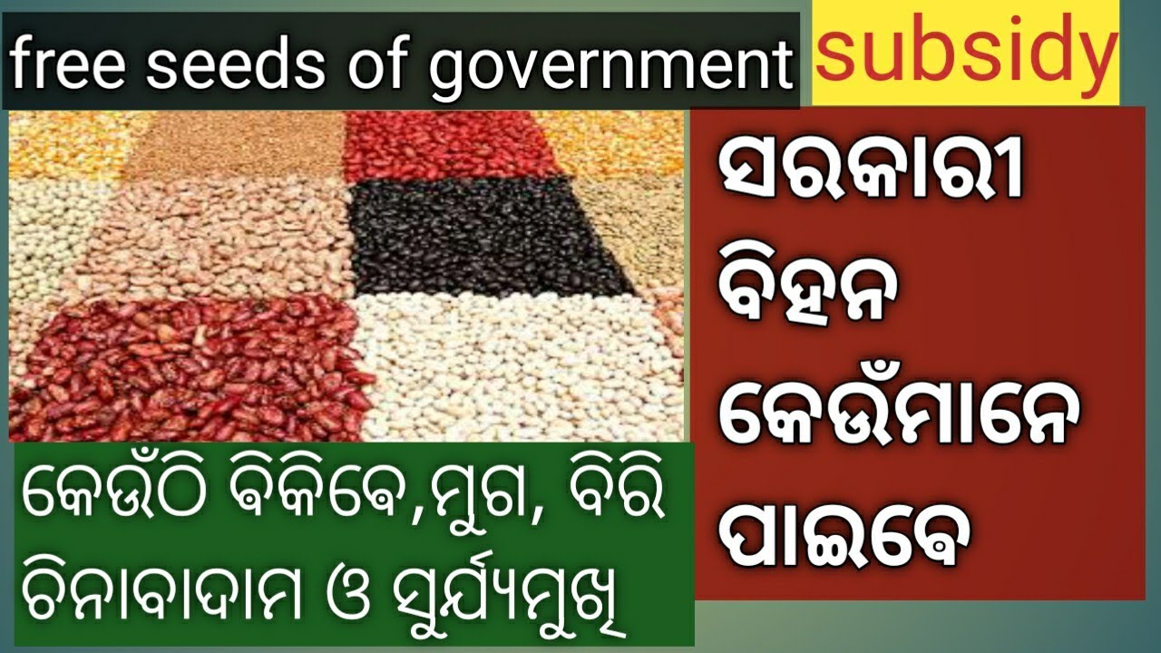 Free seeds of government and subsidy ( ସରକାରୀ ବିହନ କେଉଁମାନେ ପାଇଵେ ?)