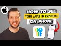 How To See Your Apple ID Password On iPhone