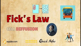 Cell Diffusion | Fick's Law | Physiology