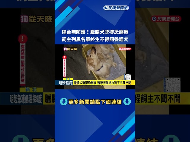 陽台無防護臘腸犬墜樓恐癱瘓 動保處重罰飼主12.8萬－民視新聞