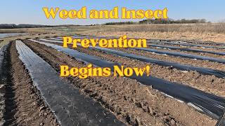 Laying Plastic Mulch With John Deere 5085E And Rain-Flo 2570 #johndeere #homestead #gardening