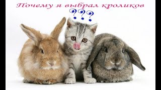 Почему я выбрал кроликов? Микроферма "Самарский Кролик"