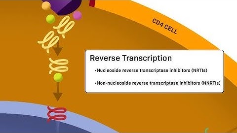 Non Nucleoside reverse Transcriptase Inhibitors ; Definition, Examples, Mechanism of action