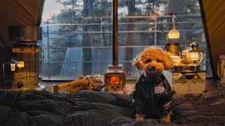 Solo Camping with My Dog . Relaxing in the Hot Tent . Wood Stove ASMR by 류캠프 RYUCAMP 254,080 views 5 months ago 24 minutes