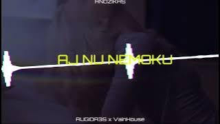 Andžikas - Aj Nu Nemoku (VainHouse Remix)